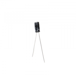 100 uF 10V Through Hole Electrolytic Capacitor (Pack of 20)