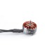 Diatone Mamba Toka 1103 Motor - 8500KV/10000KV
