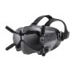 DJI FPV Goggles V2