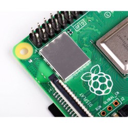 Raspberry Pi 4 Model B with 2 GB RAM