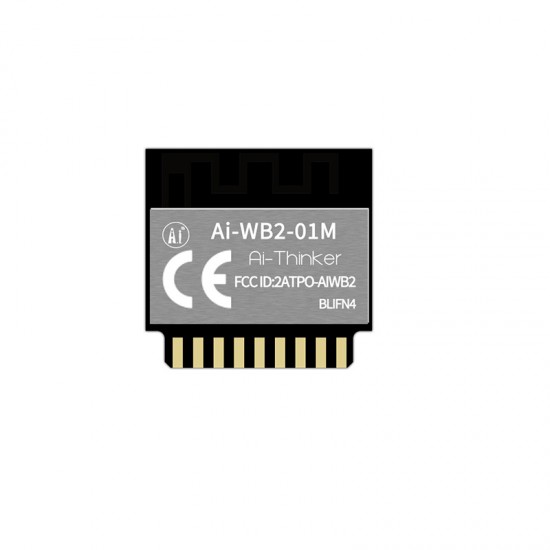 Ai-Thinker Ai-WB2-01M Module