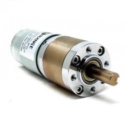 Orange Planetary Gear DC Motor 12V 256RPM 95.5 N-cm PGM45775-19.2K