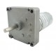 Square Gearbox Motor – 300RPM