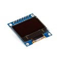 OLED Display