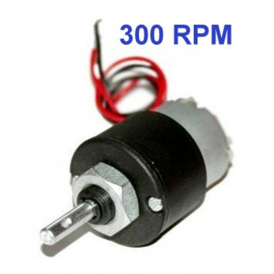 DC 12V 300RPM Metal Geared Motor