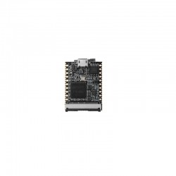 Sipeed Lichee Nano Linux Development Board 16M Flash Version