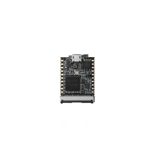 Sipeed Lichee Nano Linux Development Board 16M Flash Version
