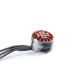 Diatone Mamba Toka 1206 Motor