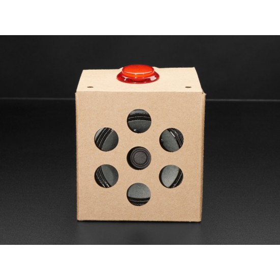 Google AIY Voice Kit For Raspberry Pi