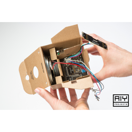 Google AIY Voice Kit For Raspberry Pi